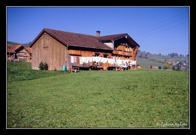 05 Bauernhof
